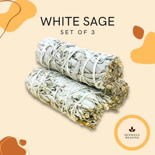 White Sage Smudging Bundle Sticks (3 Pack)