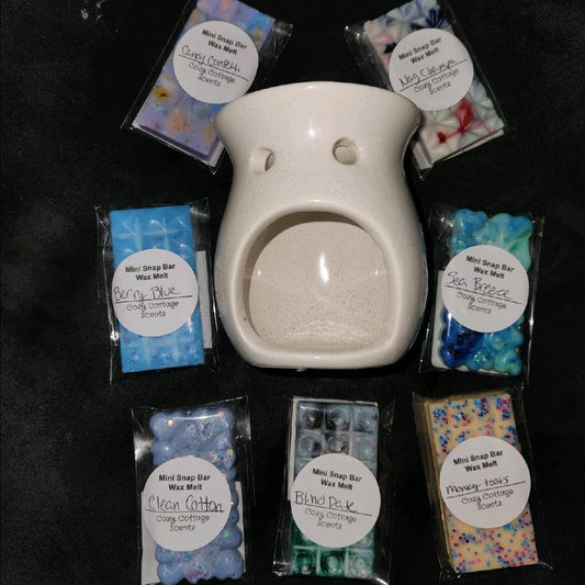 Wax Warmer bundle (Warmer shape/color and scents may vary)