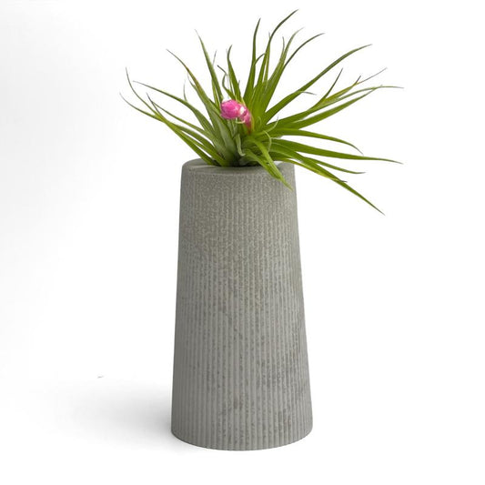 SKINNY MINI VASE | AIR PLANT HOLDER