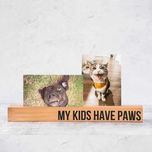 My Kids Have Paws Memory Stick