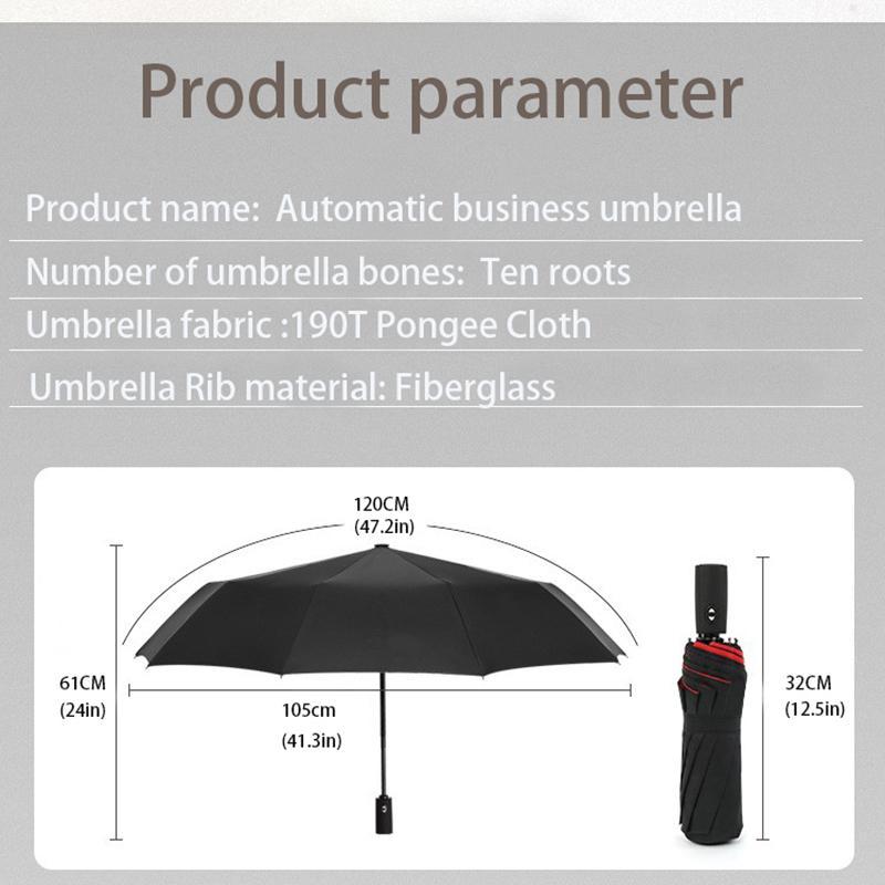 Sturdy 10-rib Umbrella, 1 Piece Automatic Foldable Umbrella, Portable Sun & Rain Umbrella for Outdoor