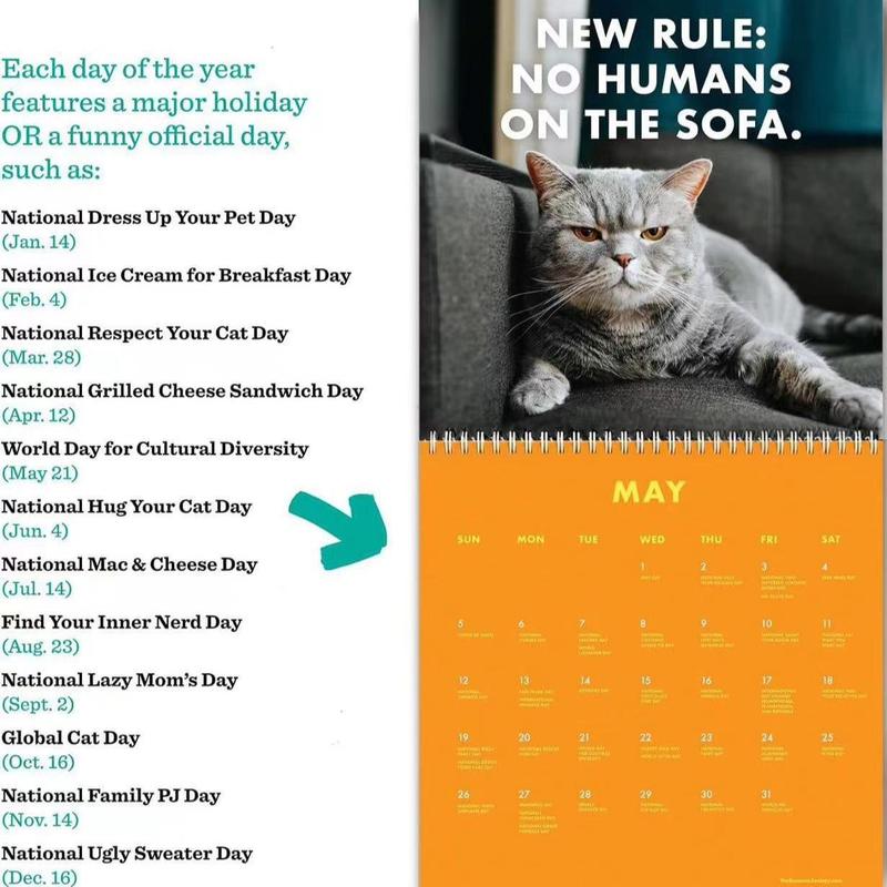 Personality Cats Design Calendar for Mean Girls Decorations, 1 Count Creative Paper Calendar, Funny Sassy Holiday Gift for Cat Lovers