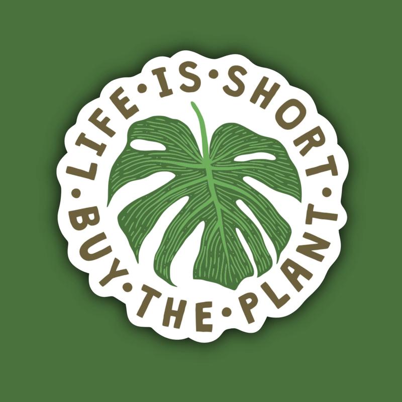 Plant Stickers, Vinyl Fun Stickers, Waterproof Vinyl, Houseplant Stickers