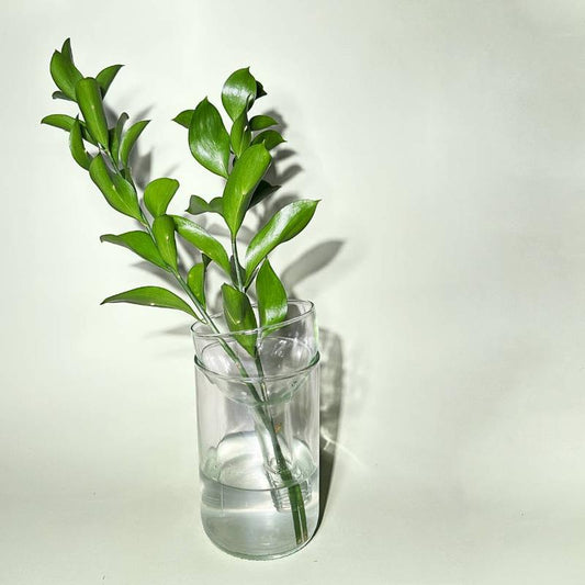 Upcycled Self-Watering Planter Vase