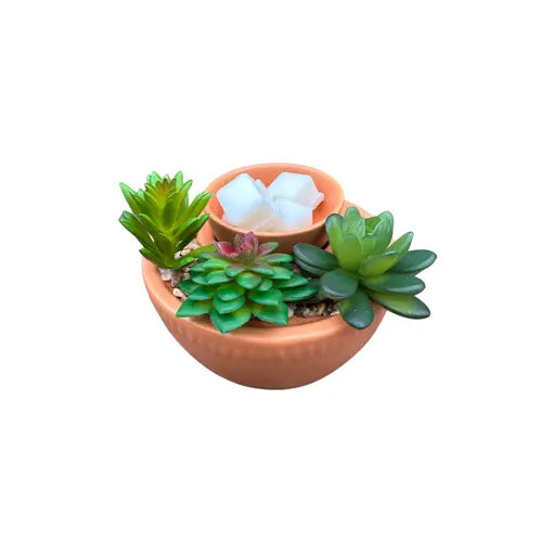 Large Succulent Wax Melter Essential Oil Warmer Candle Hot Plate