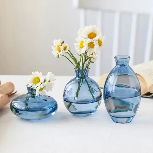 Elegant Glass Hydroponic Vase for Home Decor